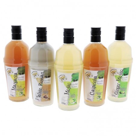ASSORTIMENT COCKTAILS DU MONDE PRETS-A-BOIRE 5*70CL
