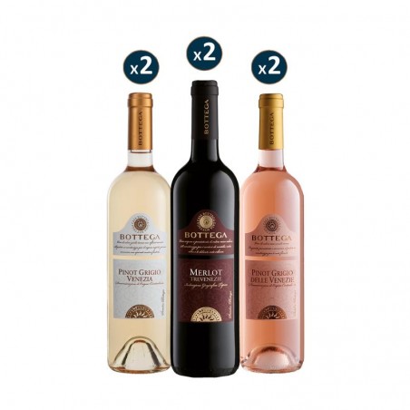 BOX DECOUVERTE 6 VINS BOTTEGA 6*75CL