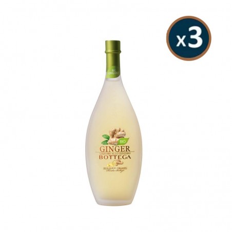 BOTTEGA - LIQUEUR GINGEMBRE BIO 3*50CL