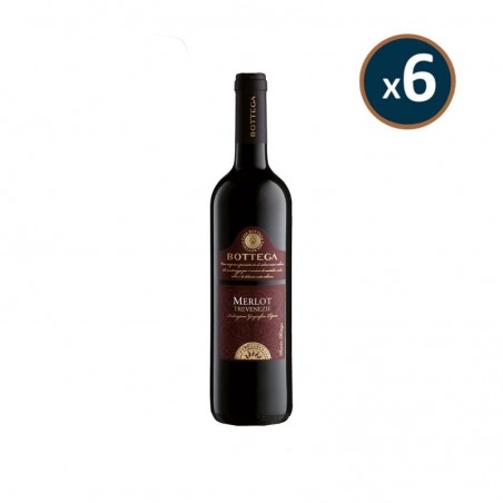 BOTTEGA - MERLOT IGT TREVENEZIE 6*75CL